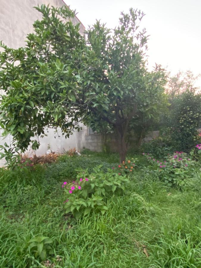 L'Incognita Bed & Breakfast San Nicolo d'Arcidano ภายนอก รูปภาพ
