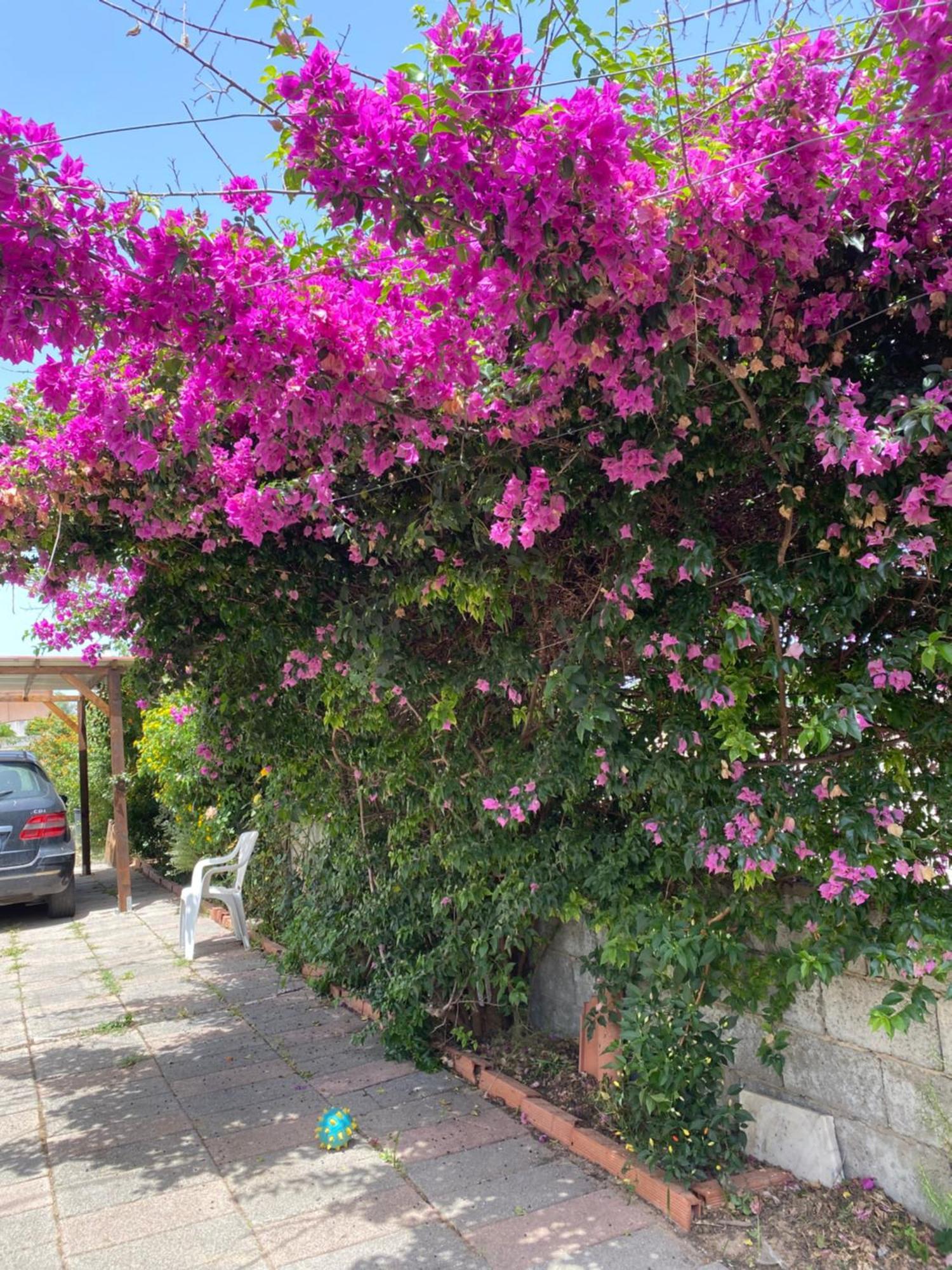 L'Incognita Bed & Breakfast San Nicolo d'Arcidano ภายนอก รูปภาพ
